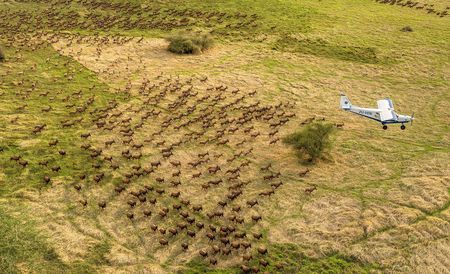 SA clams up on its hunt for oil in world’s largest animal migration corridor