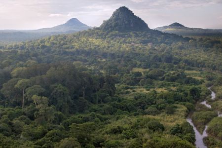 Gorongosa Restoration Project: Changing lives, one organic bean at a time