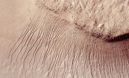 Europe, Russia To Launch Mars Mission To Sample Soil For Signs Of Life