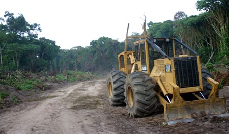 Joint effort needed by Cameroon, Nigeria in stamping out illicit timber trade