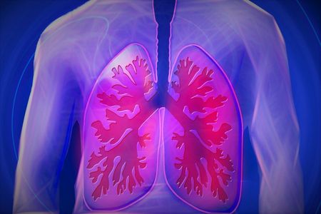 Critically understanding why TB is called the ‘disease of paper’ in Eastern Cape villages
