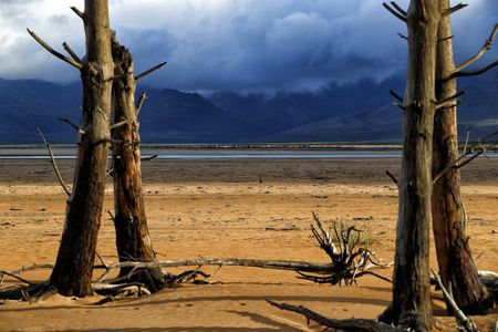 Finger-pointing aplenty, here is the answer to what led to the Cape water shortage
