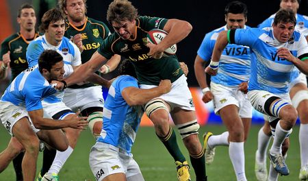 Springboks pummel Pumas