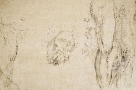 Michelangelo's secret room opens to the public, and more from around the world