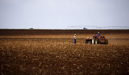 Heidelberg: Farmers face drought with prospect of coal mining