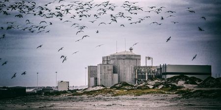 Watt Now? Nuclear power sparks fierce debate over SA’s future energy mix