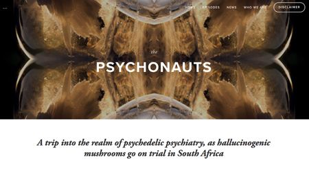Podcast: The Psychonauts – psychedelic psychiatry, and magic mushroom on trial in South Africa in 2018