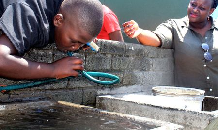 Full of holes — the leaky water bill won’t solve SA’s service delivery crisis