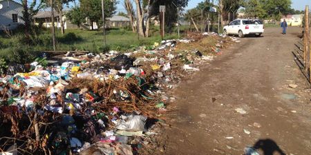 High Court asked to dissolve a second Eastern Cape municipality