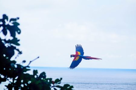 Digital Nomad: Welcome to the Hotel Montezuma