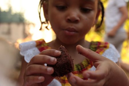 Understanding and remedying food challenges for adopted children