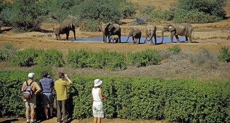A closer look at the richness of South Africa’s biodiversity