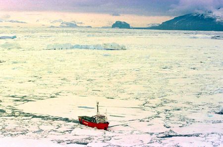 LETTER: Ivo Vegter hits a climate nerve, 'should be fired' (and Vegter responds)