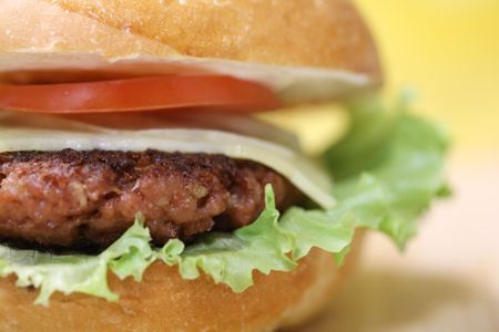Plant proteins to the fore
