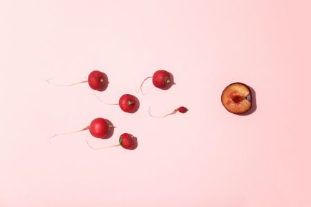 What to expect when you’re not expecting – a guide to fertility
