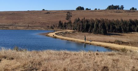 Bid by Department of Environmental Affairs, Forestry and Fisheries to categorise trout as alien species hits a snag