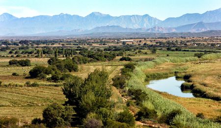 Parliamentary Diary: In search of radical land transformation