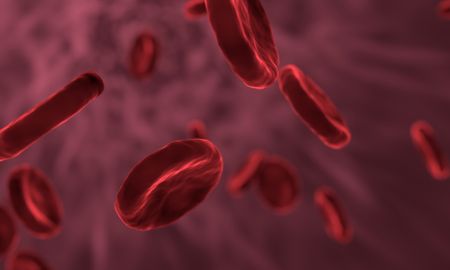Blood, Eternal Youth, Immortality, Transfusion?