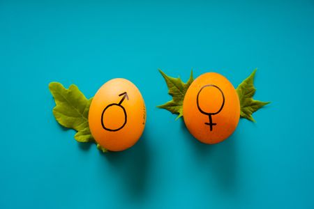 How biological differences between men and women alter immune responses – and affect women’s health