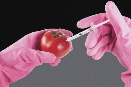 Here to stay and redefine: The Brave New World of GMO