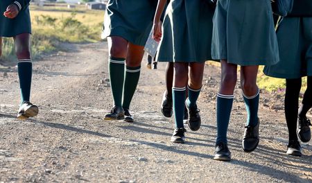 Eastern Cape government receives strict orders to provide scholar transport as excuses run out of road