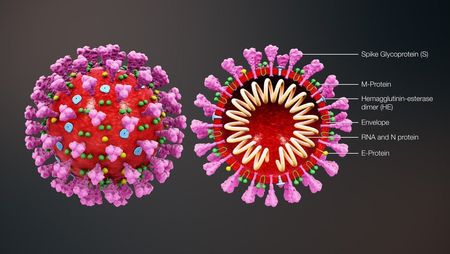 Can you be reinfected with the new Covid-19 variant? And how effective will vaccines be against it?