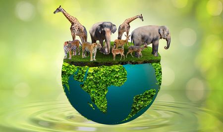 Dramatically different and signalling a lost opportunity — South Africa’s revised environmental policy
