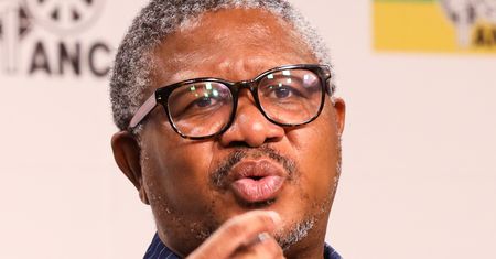 Critics of Public Protector’s Phala Phala report should 'take the matter on review', Mbalula tells ANCYL conference