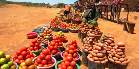 Malawi high court sets aside coronavirus lockdown pending review