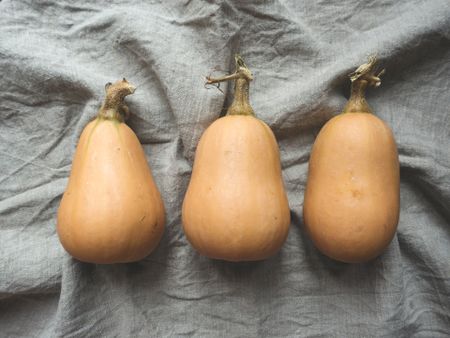 Lockdown Recipe of the Day: Lightly Curried Butternut Soup