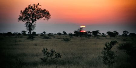 Backyard wonders – our readers’ top holiday picks at home in South Africa