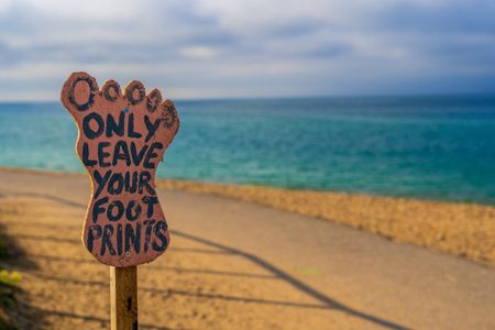 Four New Year’s resolutions for a healthier environment