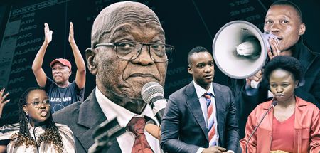 SA's 2024 elections party lists — the bad, the weird and the ugly