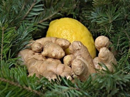 Homemade Ginger Beer – the taste of a summer holiday