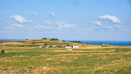 Development halted - Court hears how women were beaten with knobkieries in battle over Wild Coast land