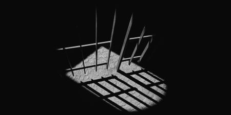 Daily roll call of arrests, NPA prosecutions and convictions — 3 February 2022