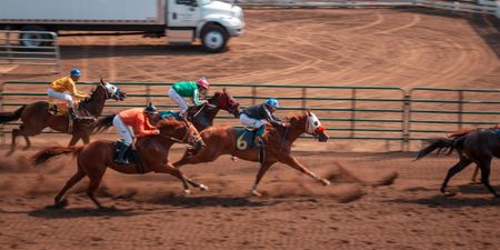 Do racehorses even know they’re ‘racing’ each other? It’s unlikely