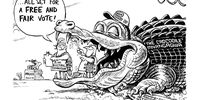 Zim All Set?