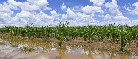 Hunger: Delayed summer rains in much of Southern Africa to compound region’s misery