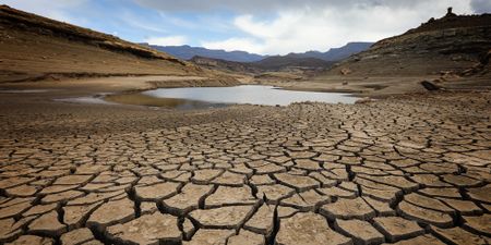 Time to take off the climate crisis blinkers and accept that everything as we know it needs to change
