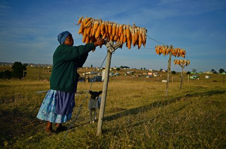 The state must build on its progressive policy to benefit women through land redistribution