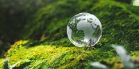 Collective environmental governance is our best hope to avert planetary ecological disaster