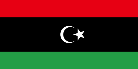 Libyan embassy allegedly pressuring SA workers to test for HIV 