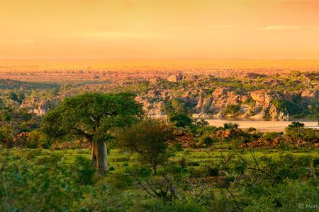 At a critical crossroads — Unpacking SA's new biodiversity strategy