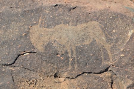 Rock art rocks: Experts are still trying to fathom ancient engravings found near the Vredefort crater