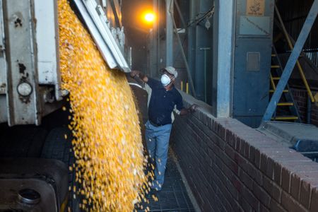 Was SA's 2024 third-quarter GDP contraction caused by an overestimation of agriculture's decline?