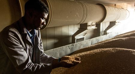 Achieving food security demands that we look at new agricultural pathways