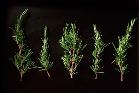 Lockdown Recipe of the Day: Rosemary Beef Fillet on the Braai