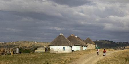 Land reform has failed the women of South Africa