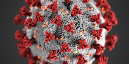 Cameroon, Togo confirm first cases of coronavirus